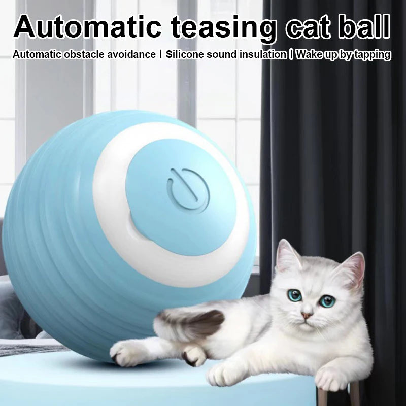 Self-Rolling Interactive Pet Ball