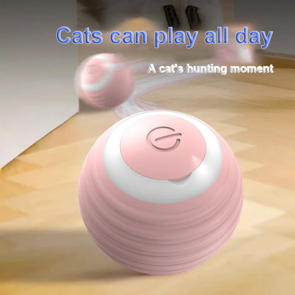 Self-Rolling Interactive Pet Ball