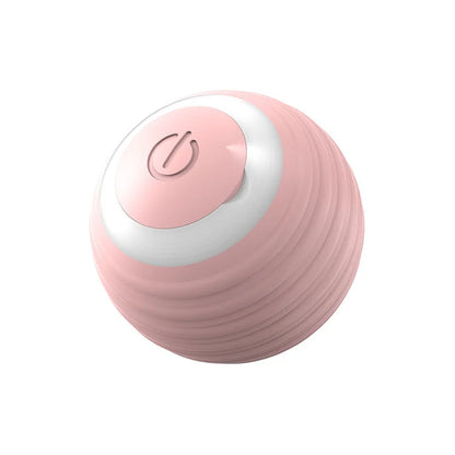 Self-Rolling Interactive Pet Ball