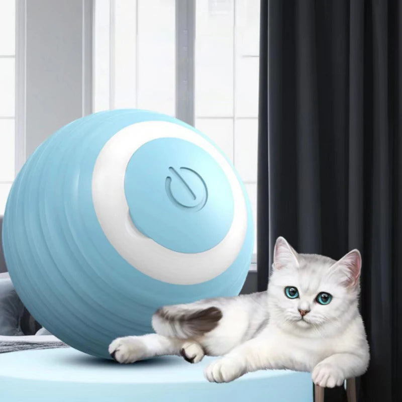 Self-Rolling Interactive Pet Ball