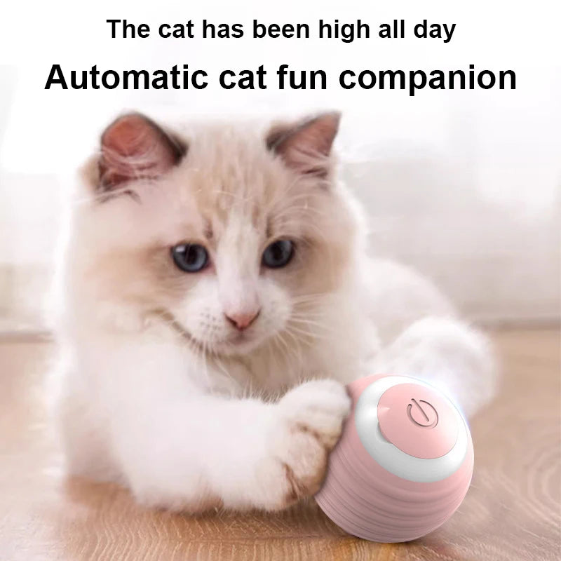 Self-Rolling Interactive Pet Ball