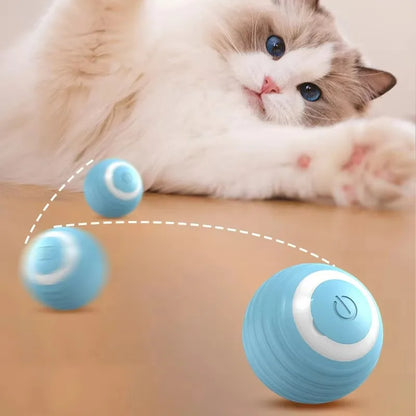 Self-Rolling Interactive Pet Ball