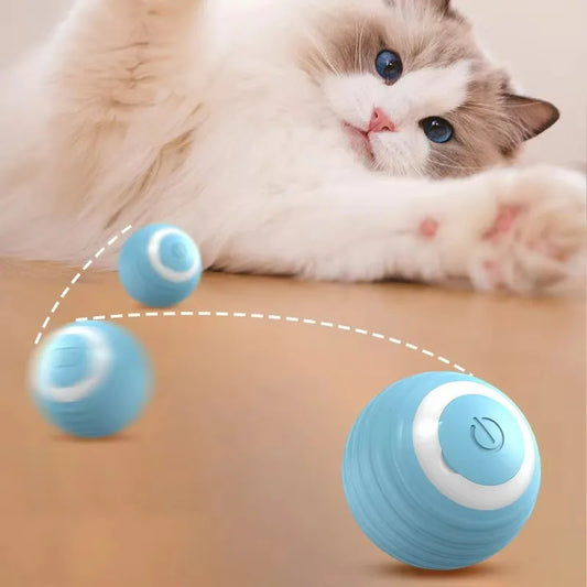 Self-Rolling Interactive Pet Ball