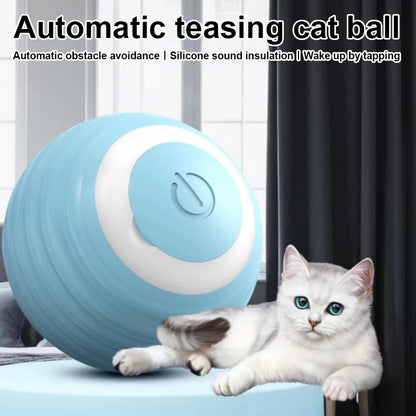 Self-Rolling Interactive Pet Ball