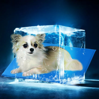 Pet Cooling Gel Mat